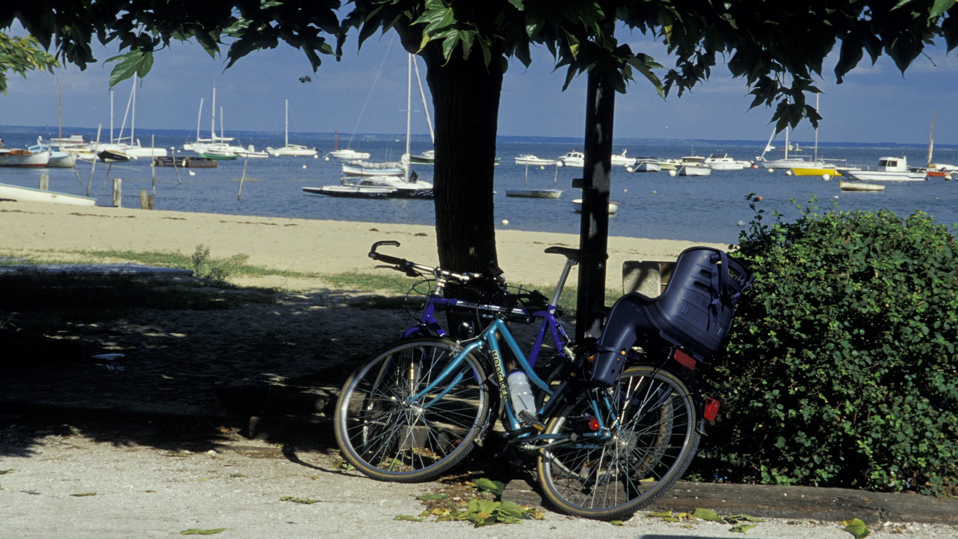 En plein cœur du <br/>Bassin d’ Arcachon